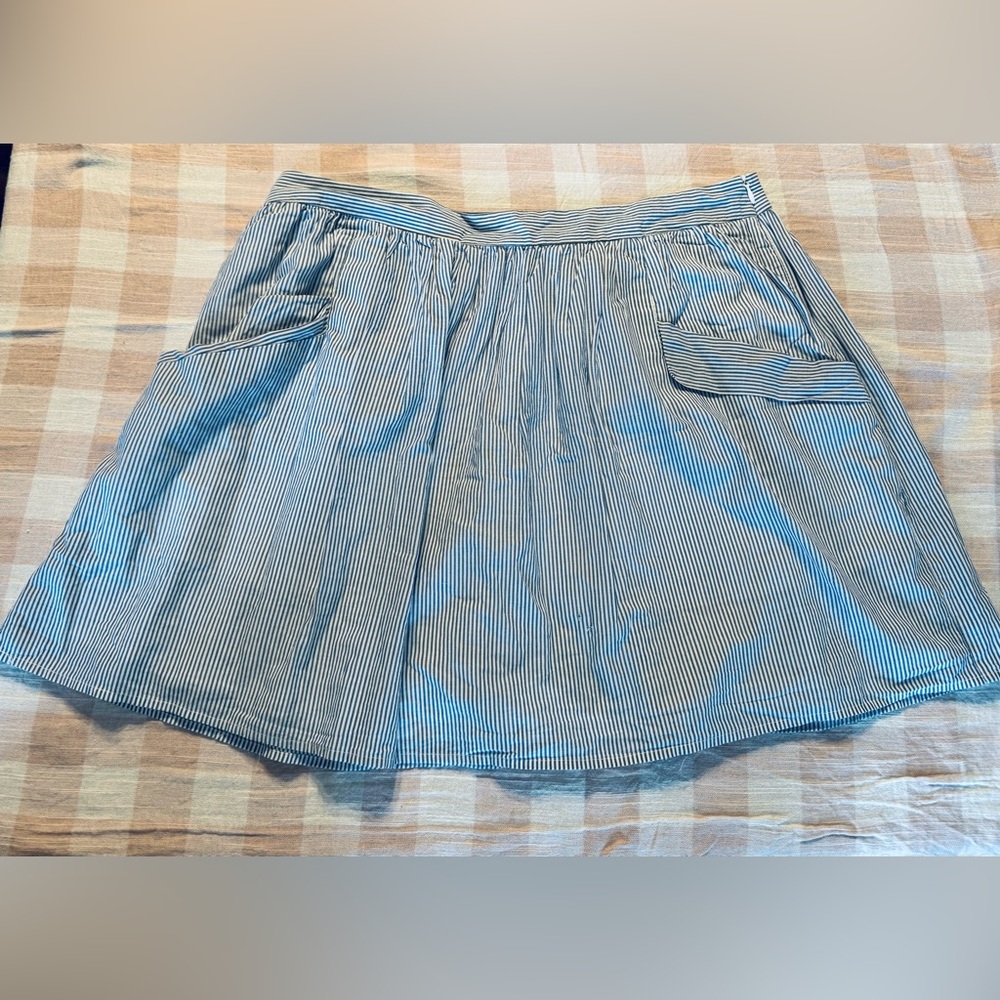 GAP Blue and White Striped Cotton Skirt